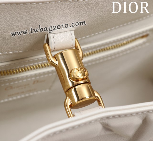 Dior专柜2023新款迪奥高仿原单Dior Toujours手袋手提购物包 djfk1601
